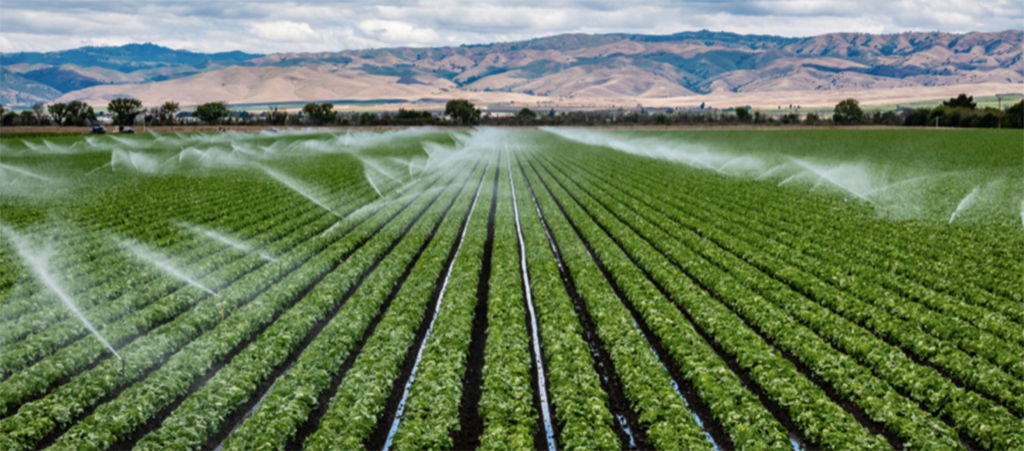 irrigation field in spain